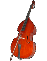 Double Bass